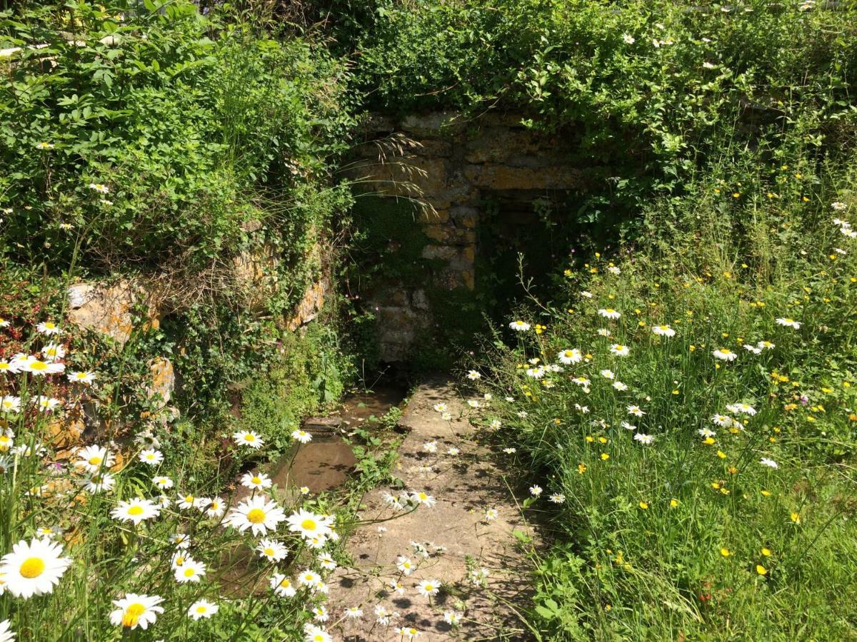Yew Tree Cottage Bath Bagian luar foto